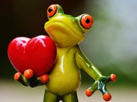 Cardiovascular Disease (CVD) Risk